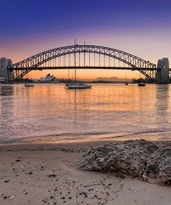 Sydney Harbour Bridge Scenic Printed Backdrop